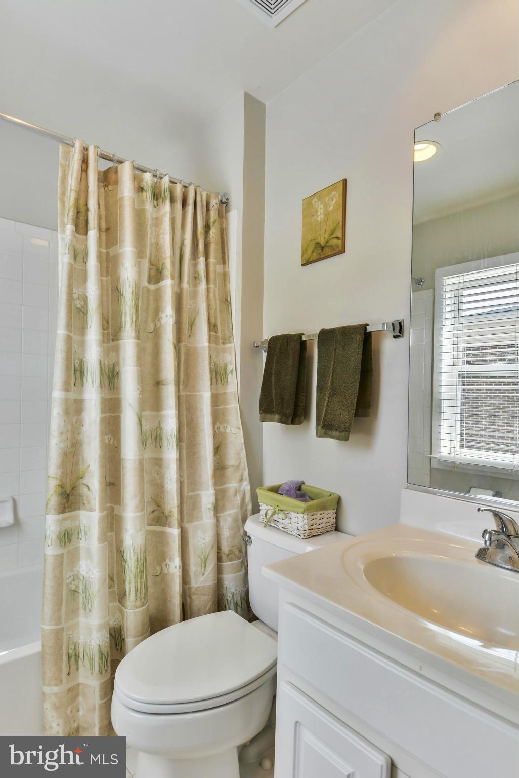 11050 Amherst Avenue Silver Spring, MD 20902 - Photo 23 of 30 Bath