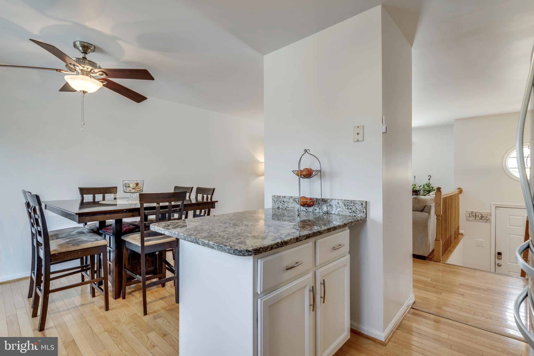 20717 Cross Timber Drive Ashburn, VA 20147 - Photo 11 of 31 Kitchen Island