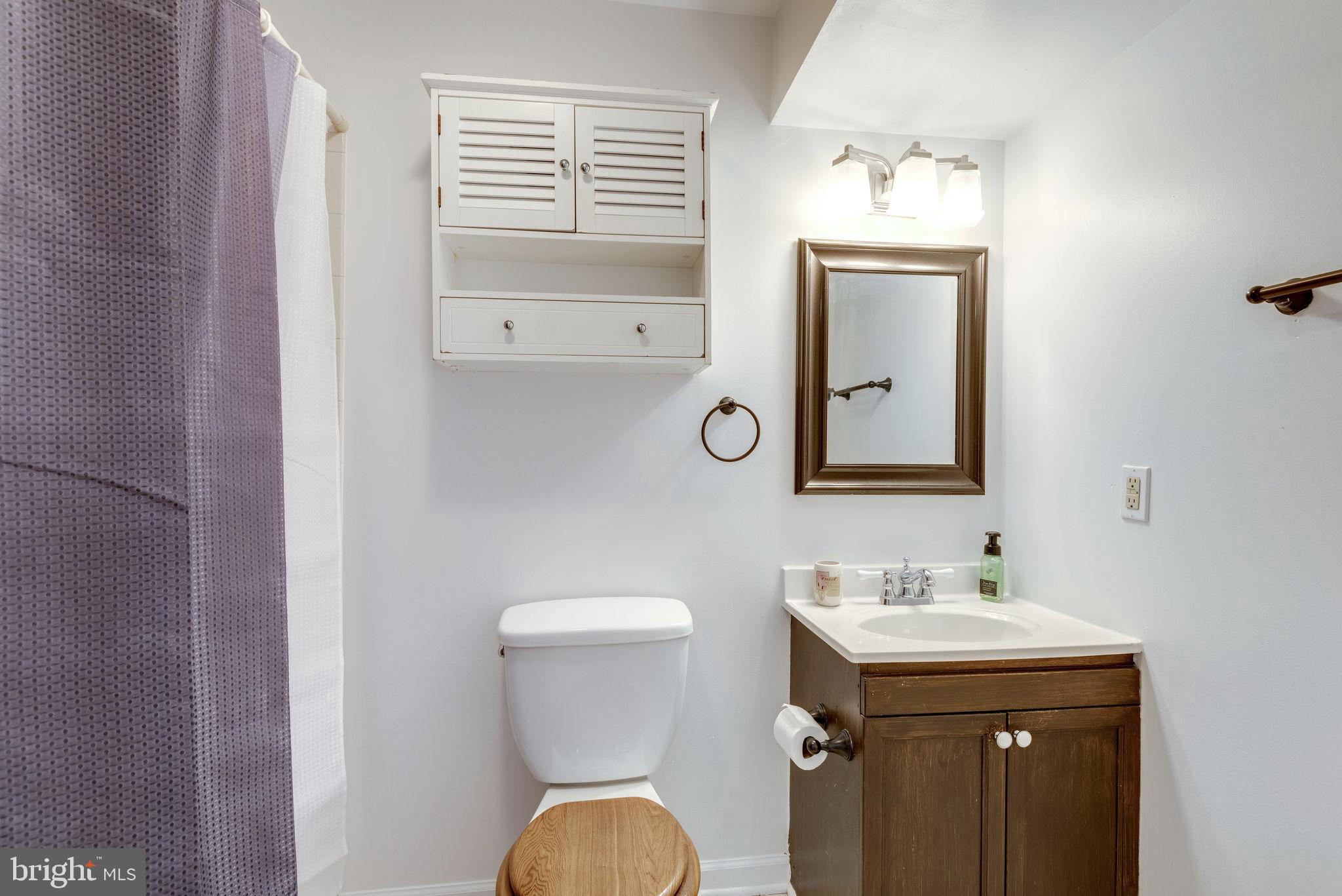 20717 Cross Timber Drive Ashburn, VA 20147 - Photo 24 of 31 Full Bath room lower level