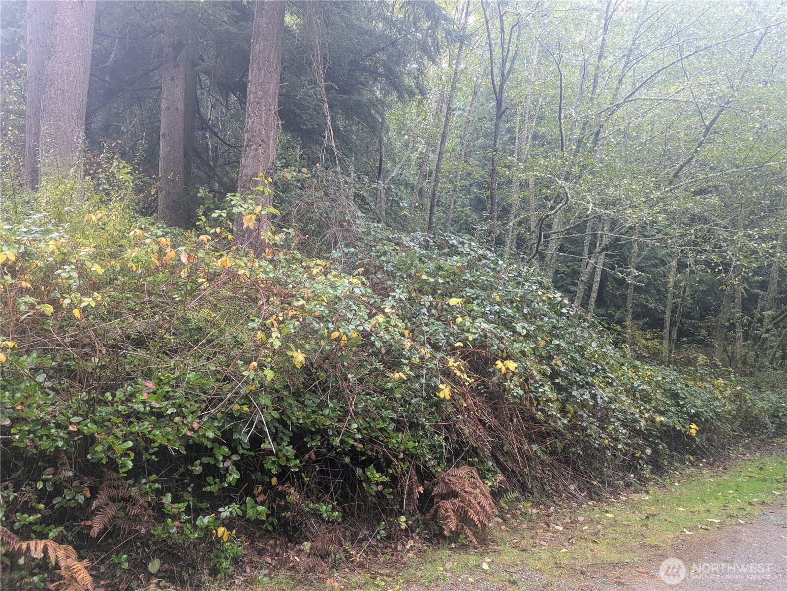 -xxx Jewett Road Clinton, WA 98236 - Photo 2 of 14