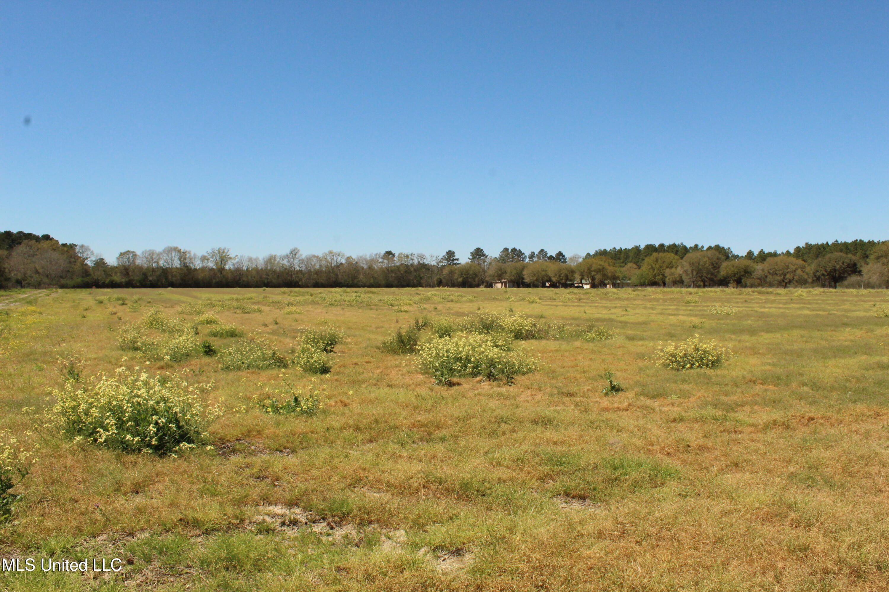 Lot 1 Ramie Farm Road Lucedale, MS 39452 - Photo 1 of 4 Lot 2
