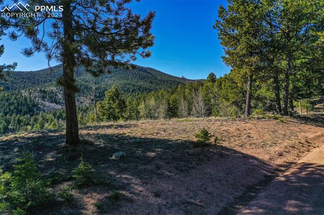 1100 Elk Ridge South Divide, CO 80814 - Photo 27 of 34