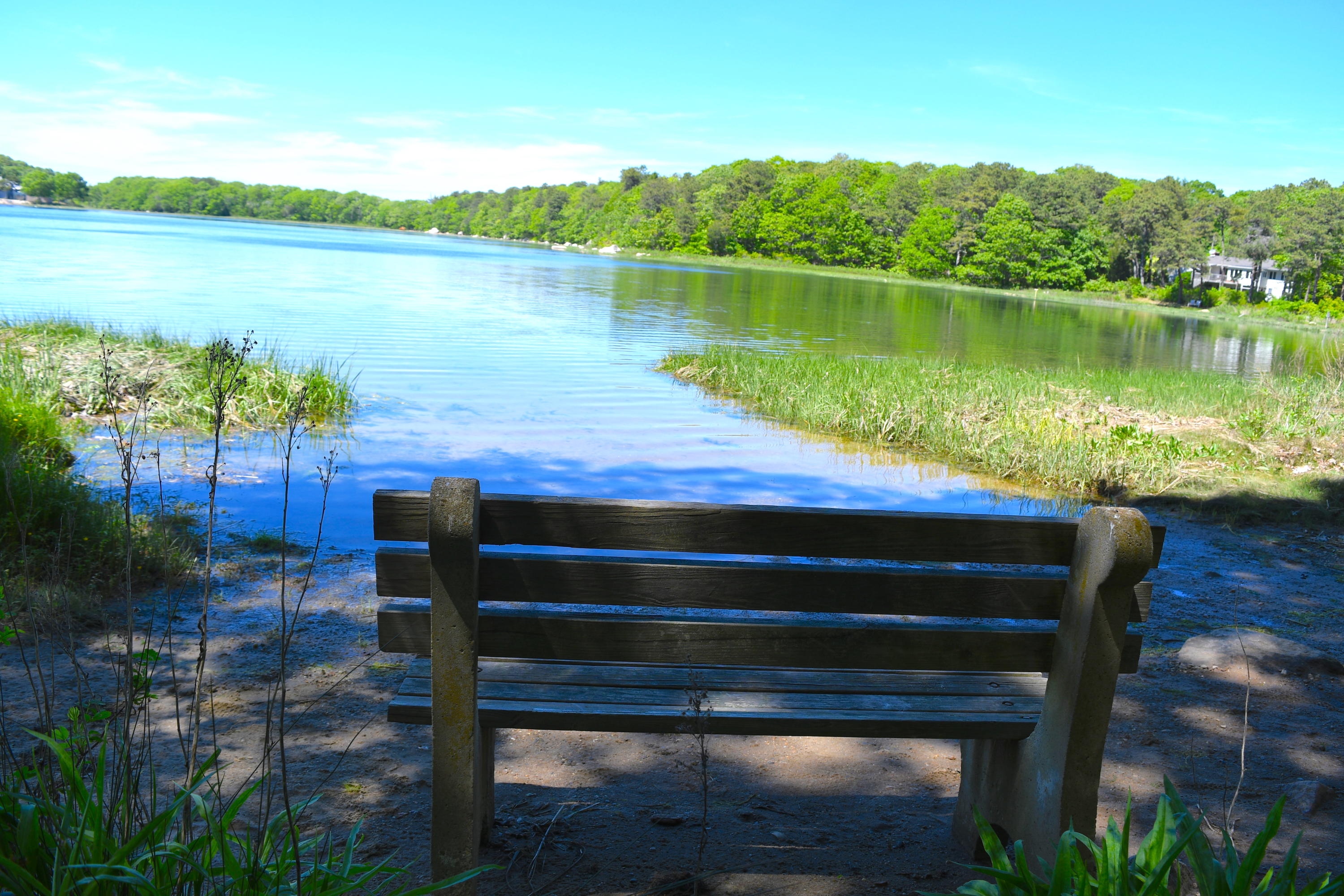14 Marilyn Road Buzzards Bay, MA 02532 - Photo 4 of 20 a view of a lake with outdoor space