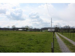 1020 Kenneytown Road Greeneville, TN 37745 - Photo 3 of 10 Photo 3