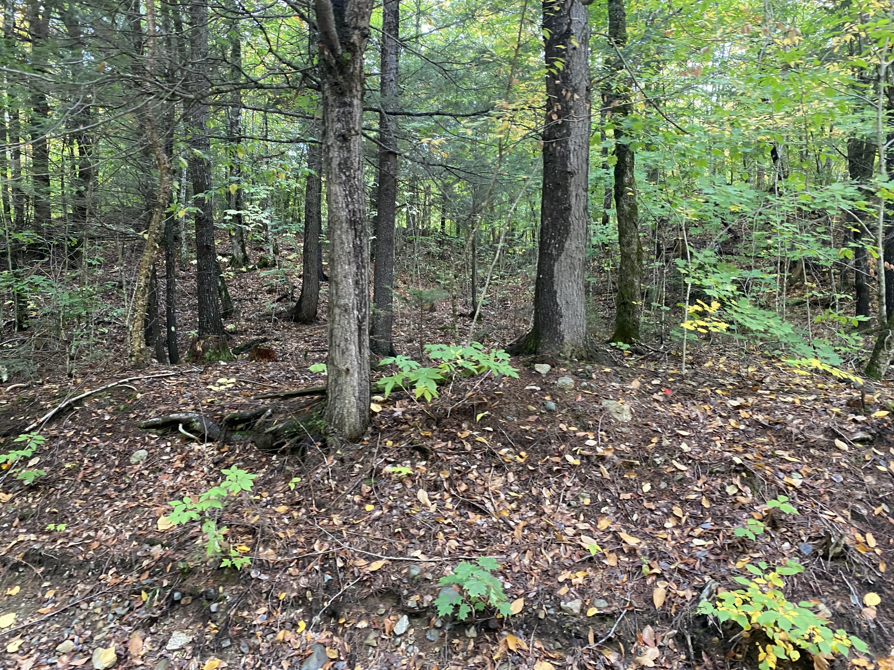 Lot 46 Dill Valley Road Lakeville, ME 04487 - Photo 23 of 38 Photo Sep 29, 12 00 25 PM
