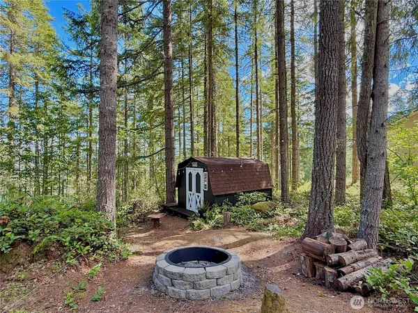 a view of a backyard with garden and plants