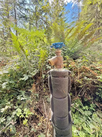 a view of yard from a tree