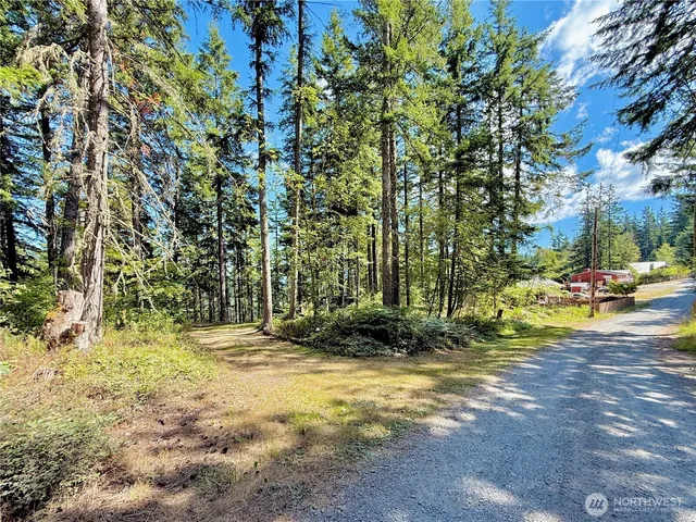 a view of a city with lush green forest