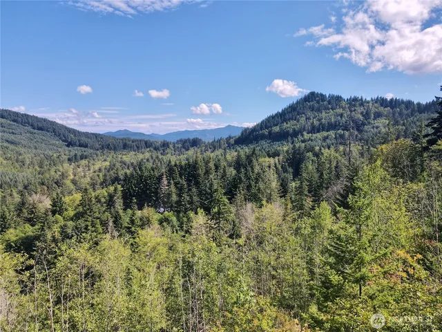 a view of a dry yard with mountain
