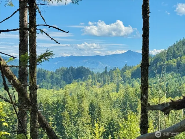 a view of a yard with an outdoor space