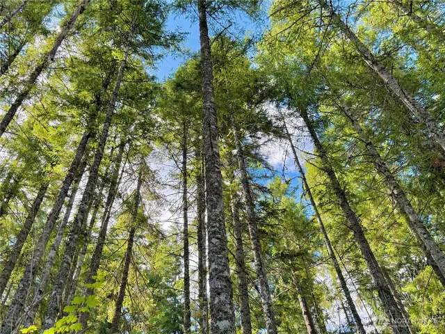 a view of a park with a park