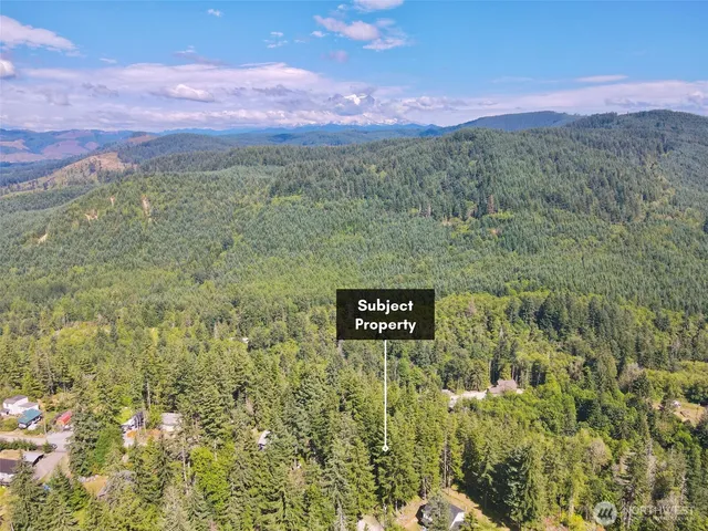 a view of a lush green hillside and a houses