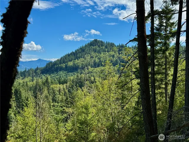 a sign that is sitting on a tree