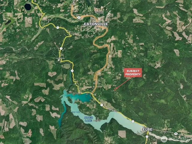 a view of a yard with a tree and plants