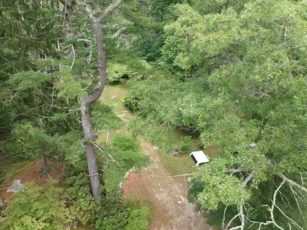 601 Reed Road Dartmouth, MA 02747 - Photo 6 of 11