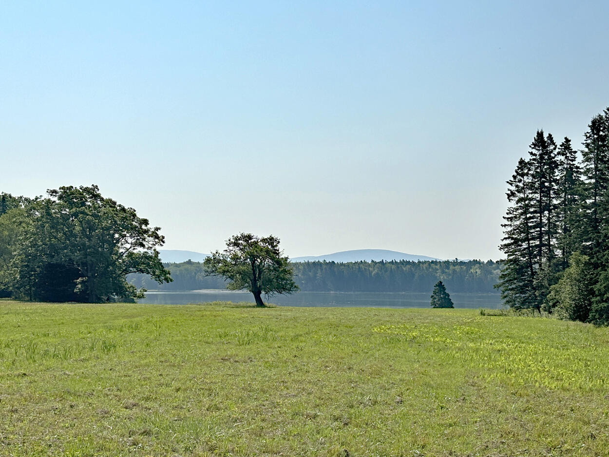 607 Oak Point Road Trenton, ME 04605 - Photo 158 of 187 Field (11)