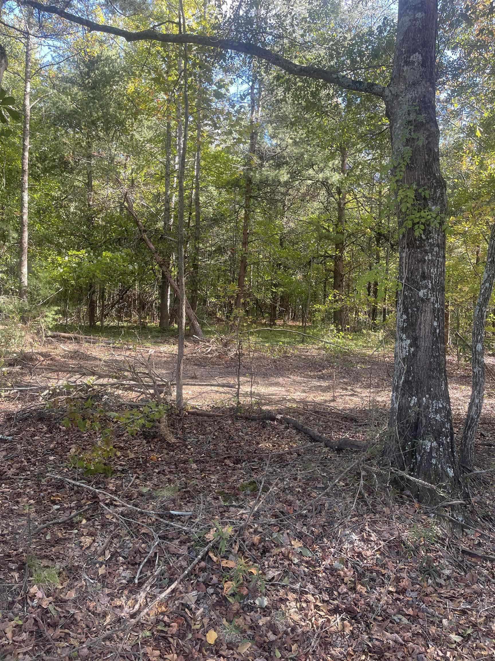 Lot 3 Dowler Drive Inman, SC 29349 - Photo 2 of 11 Gallery Image 2