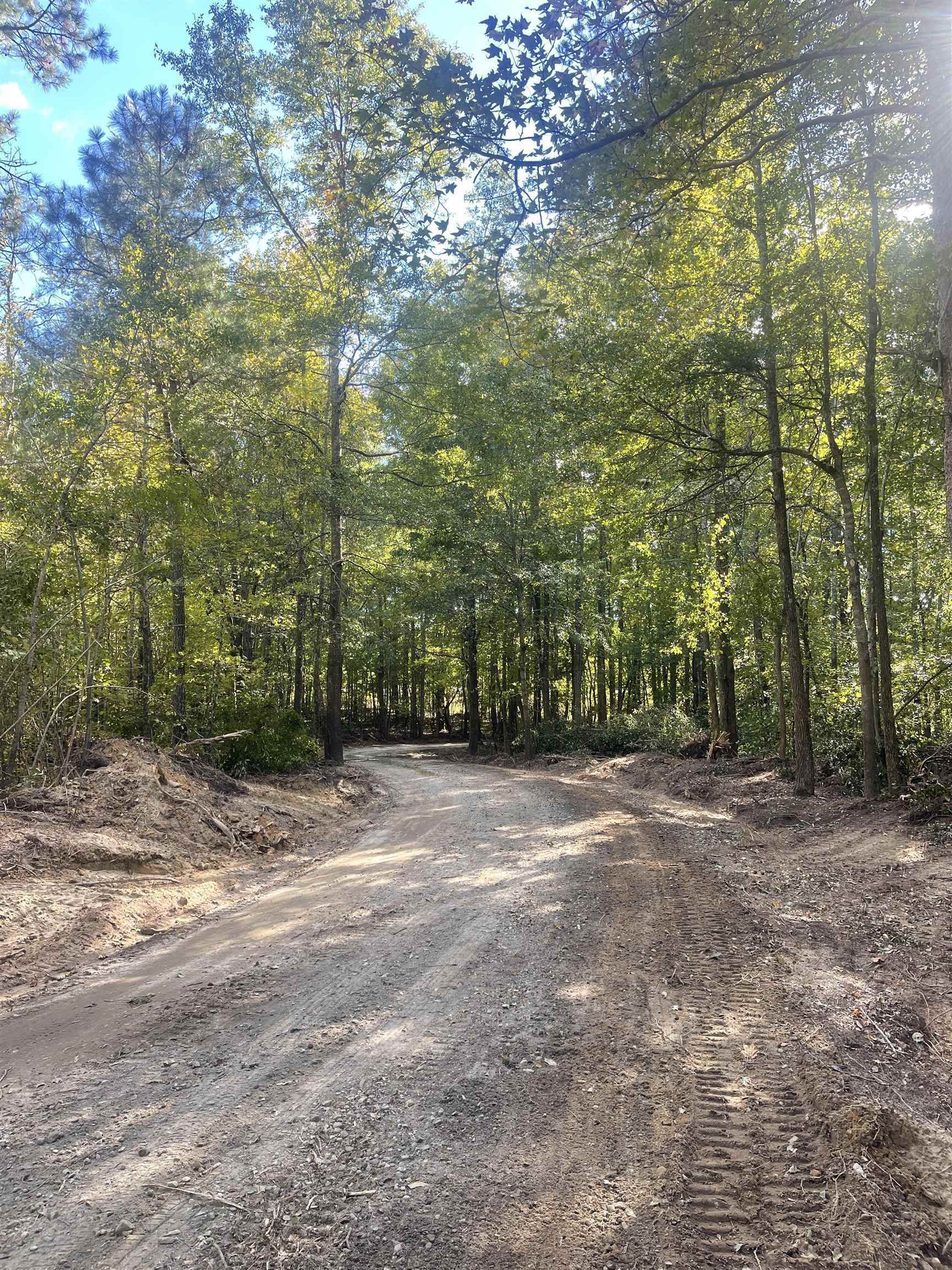 Lot 3 Dowler Drive Inman, SC 29349 - Photo 3 of 11 Gallery Image 3