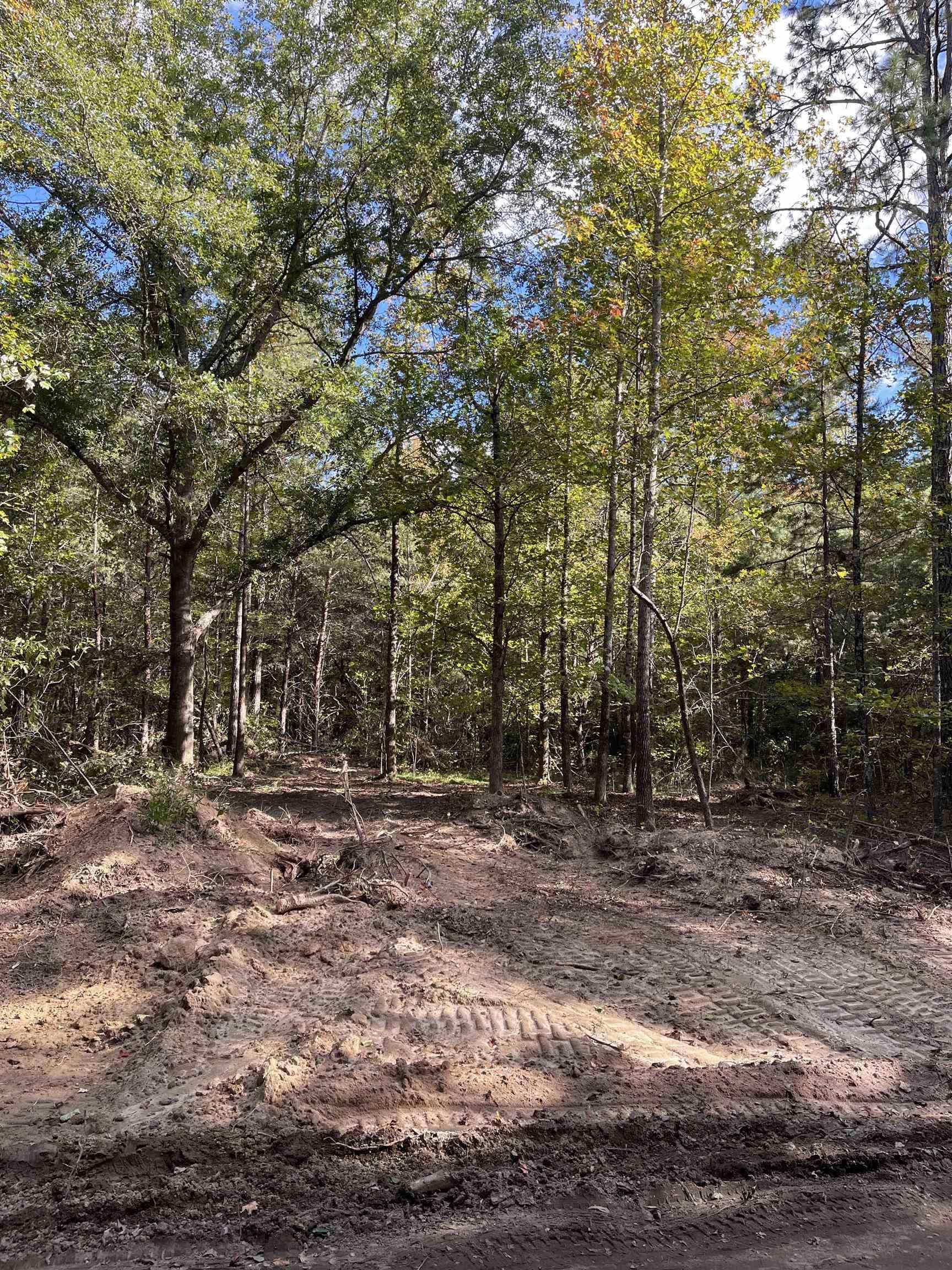 Lot 3 Dowler Drive Inman, SC 29349 - Photo 4 of 11 Gallery Image 4