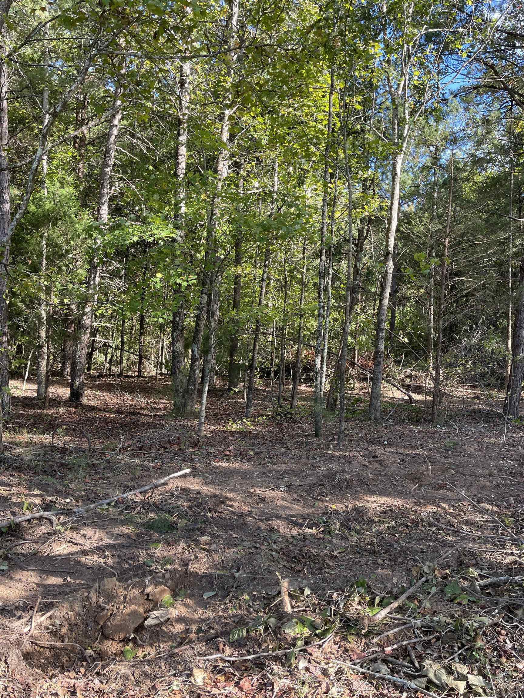 Lot 3 Dowler Drive Inman, SC 29349 - Photo 6 of 11 Gallery Image 6