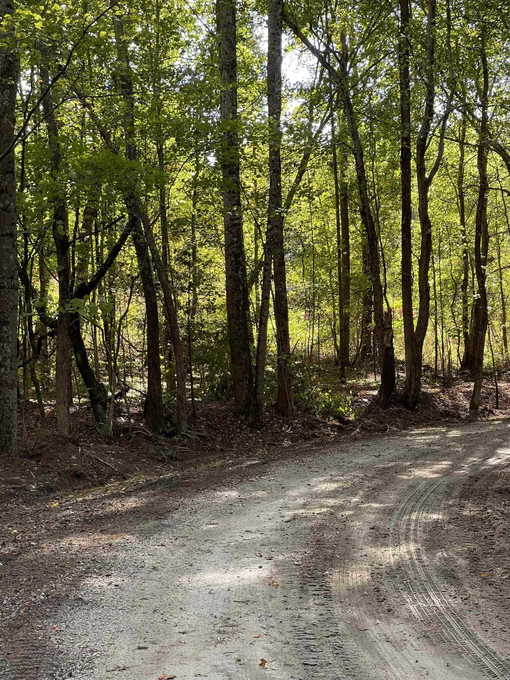 Lot 3 Dowler Drive Inman, SC 29349 - Photo 8 of 11 Gallery Image 8