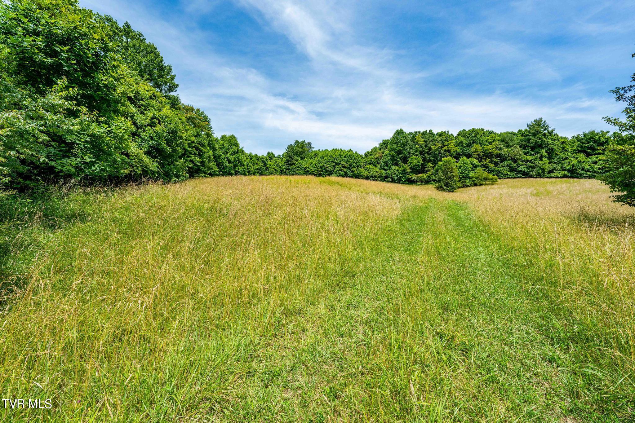 0 Eaton Station Road, Unit 1 Kingsport, TN 37664 - Photo 24 of 37 TBD Eaton Station Rd (24 of 37)