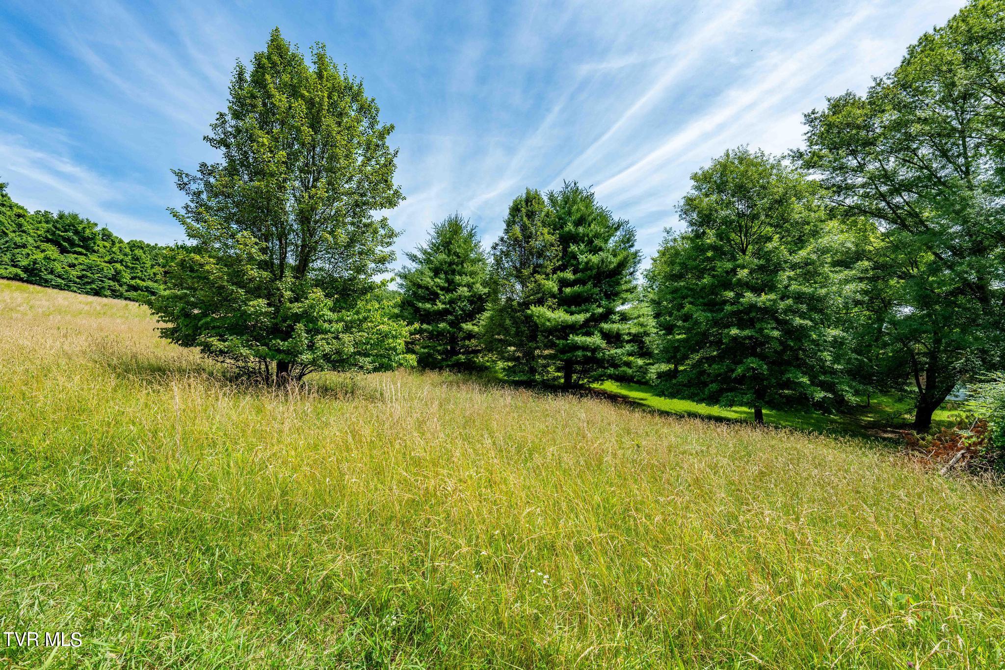 0 Eaton Station Road, Unit 1 Kingsport, TN 37664 - Photo 25 of 37 TBD Eaton Station Rd (25 of 37)