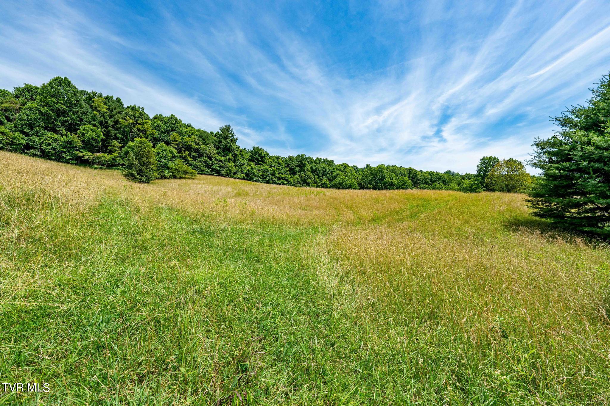 0 Eaton Station Road, Unit 1 Kingsport, TN 37664 - Photo 26 of 37 TBD Eaton Station Rd (26 of 37)