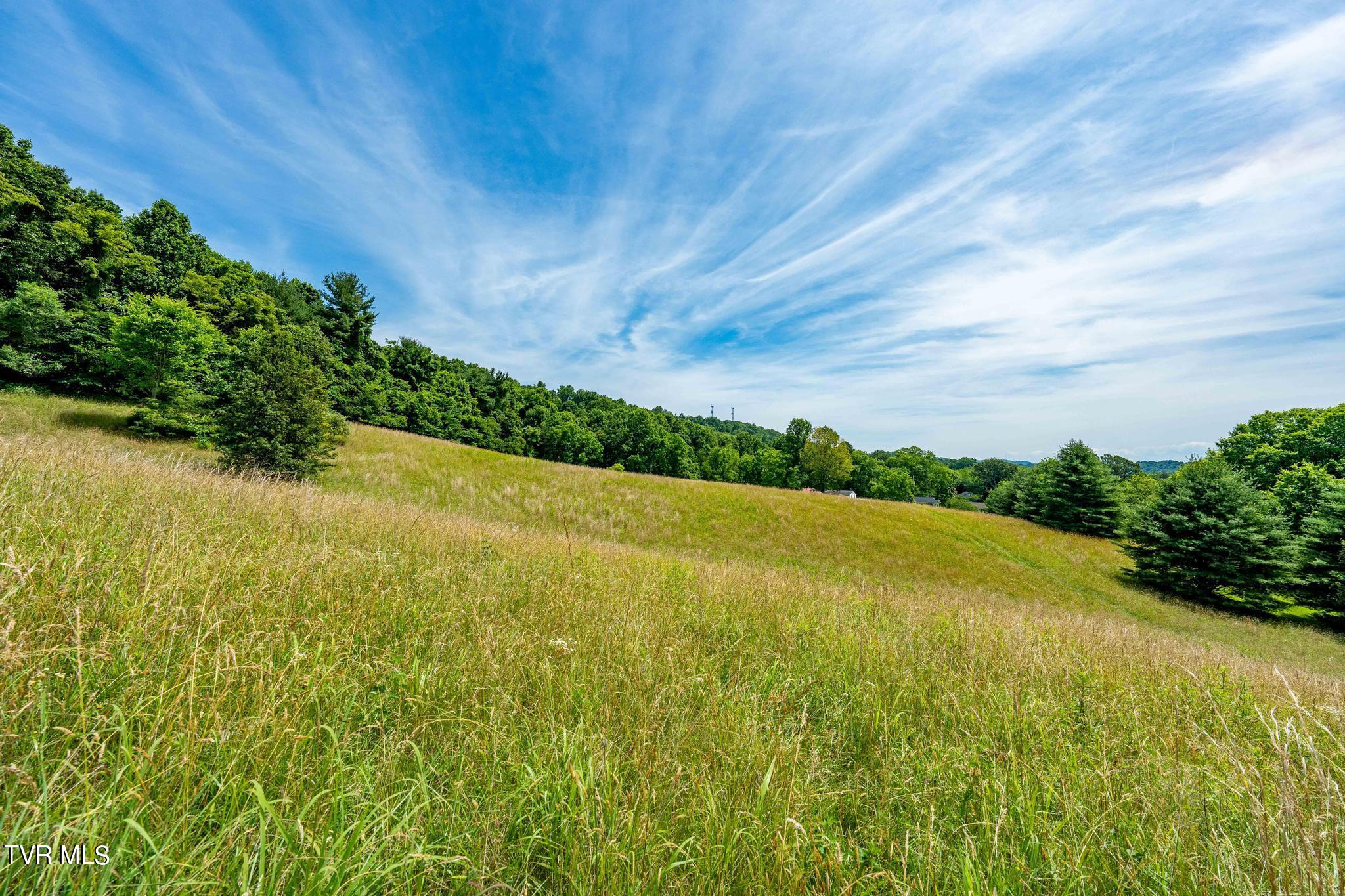 0 Eaton Station Road, Unit 1 Kingsport, TN 37664 - Photo 28 of 37 TBD Eaton Station Rd (28 of 37)
