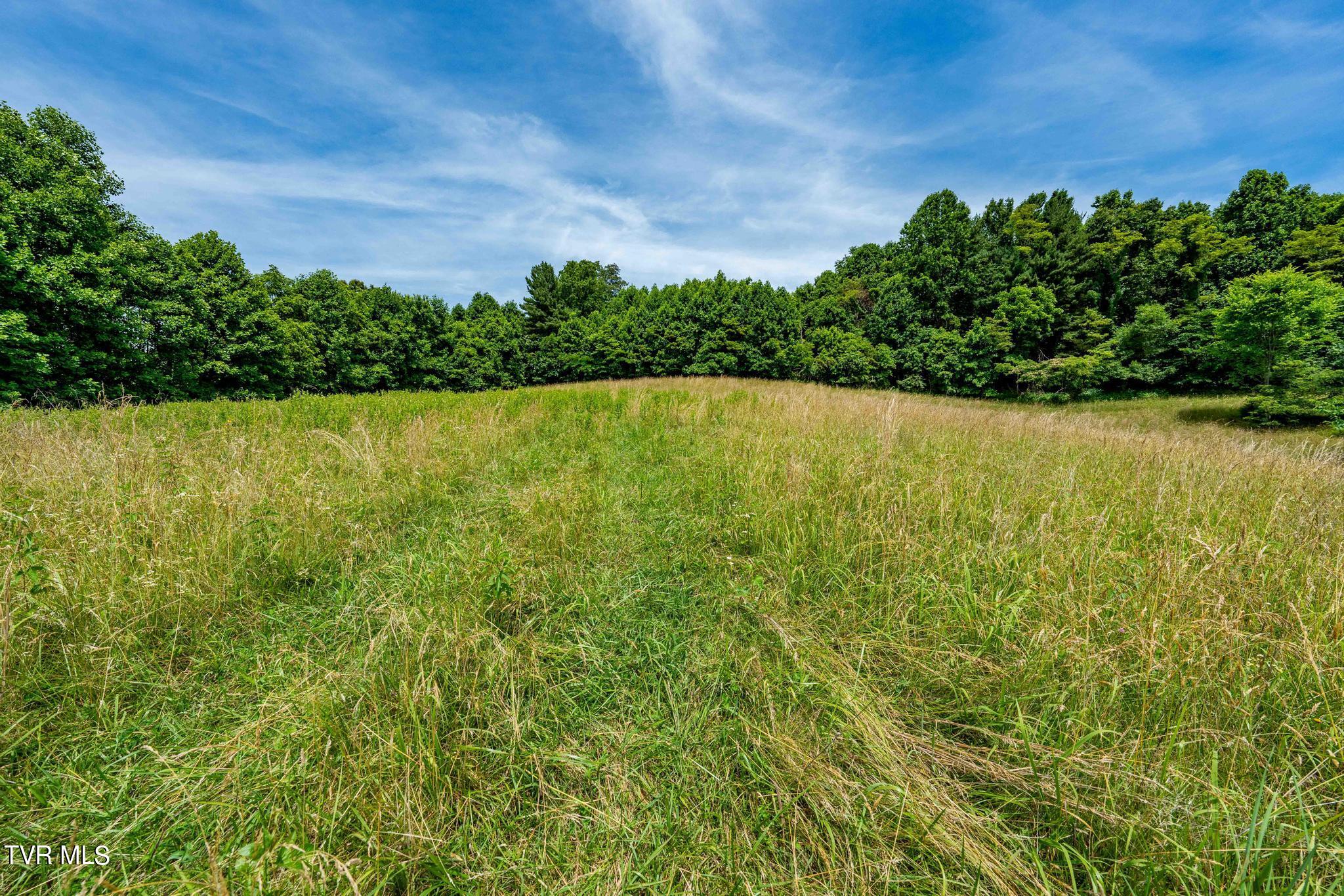 0 Eaton Station Road, Unit 1 Kingsport, TN 37664 - Photo 29 of 37 TBD Eaton Station Rd (29 of 37)
