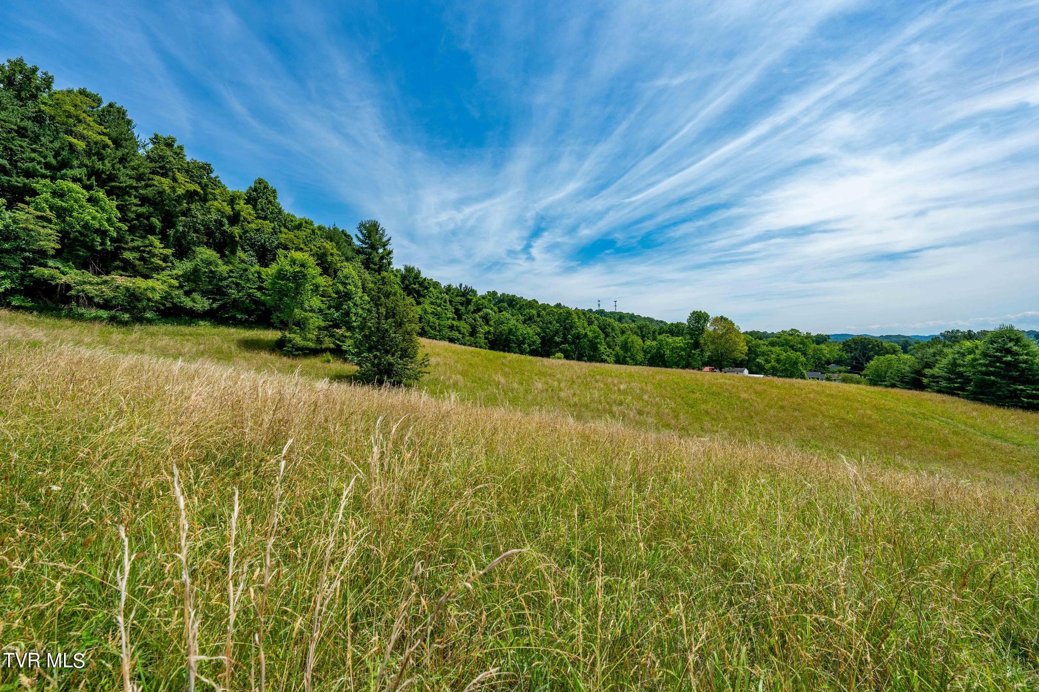 0 Eaton Station Road, Unit 1 Kingsport, TN 37664 - Photo 31 of 37 TBD Eaton Station Rd (31 of 37)