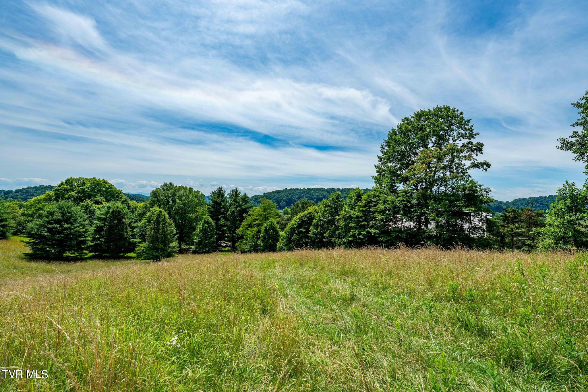 0 Eaton Station Road, Unit 1 Kingsport, TN 37664 - Photo 32 of 37 TBD Eaton Station Rd (32 of 37)