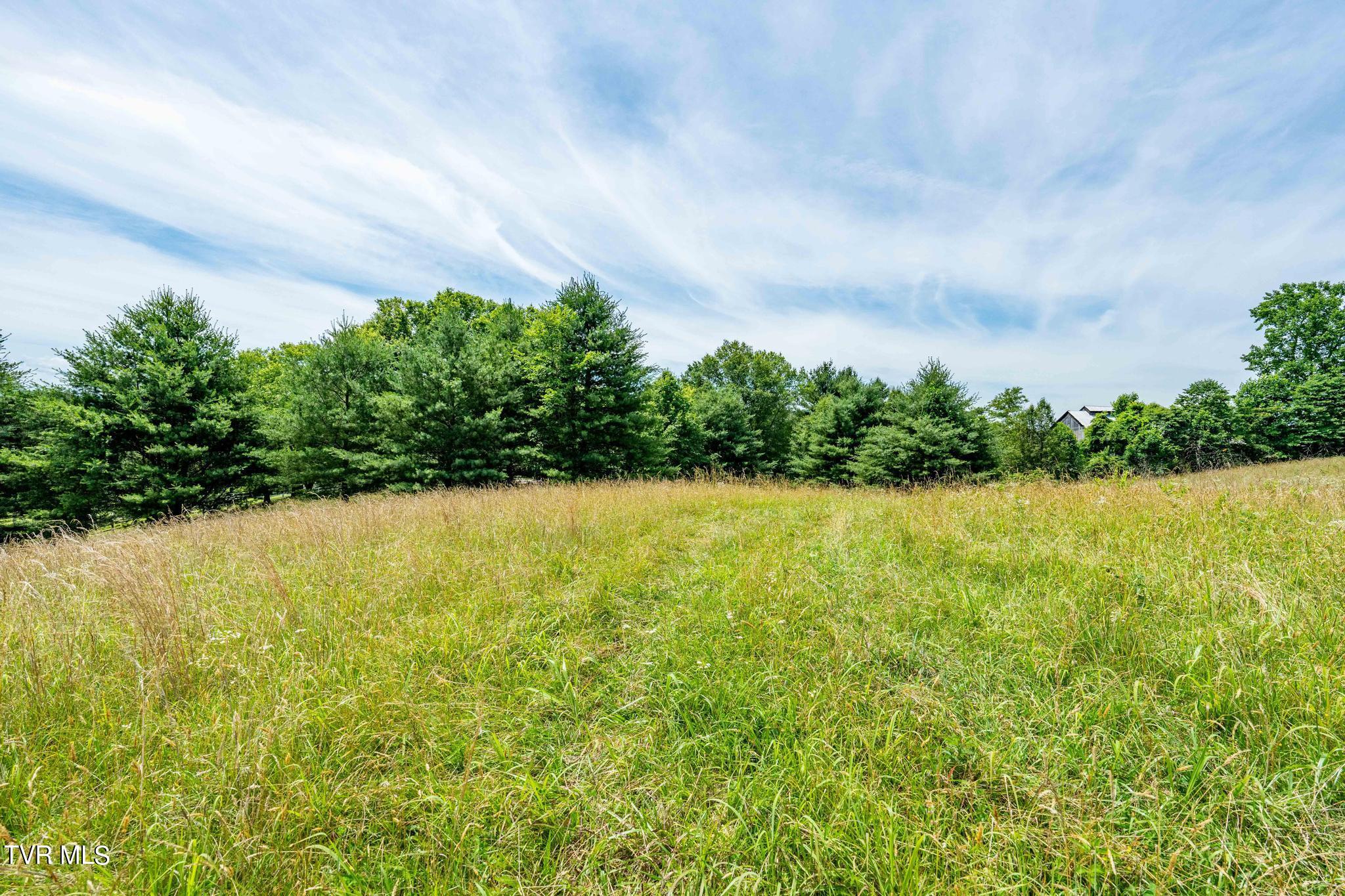 0 Eaton Station Road, Unit 1 Kingsport, TN 37664 - Photo 35 of 37 TBD Eaton Station Rd (35 of 37)