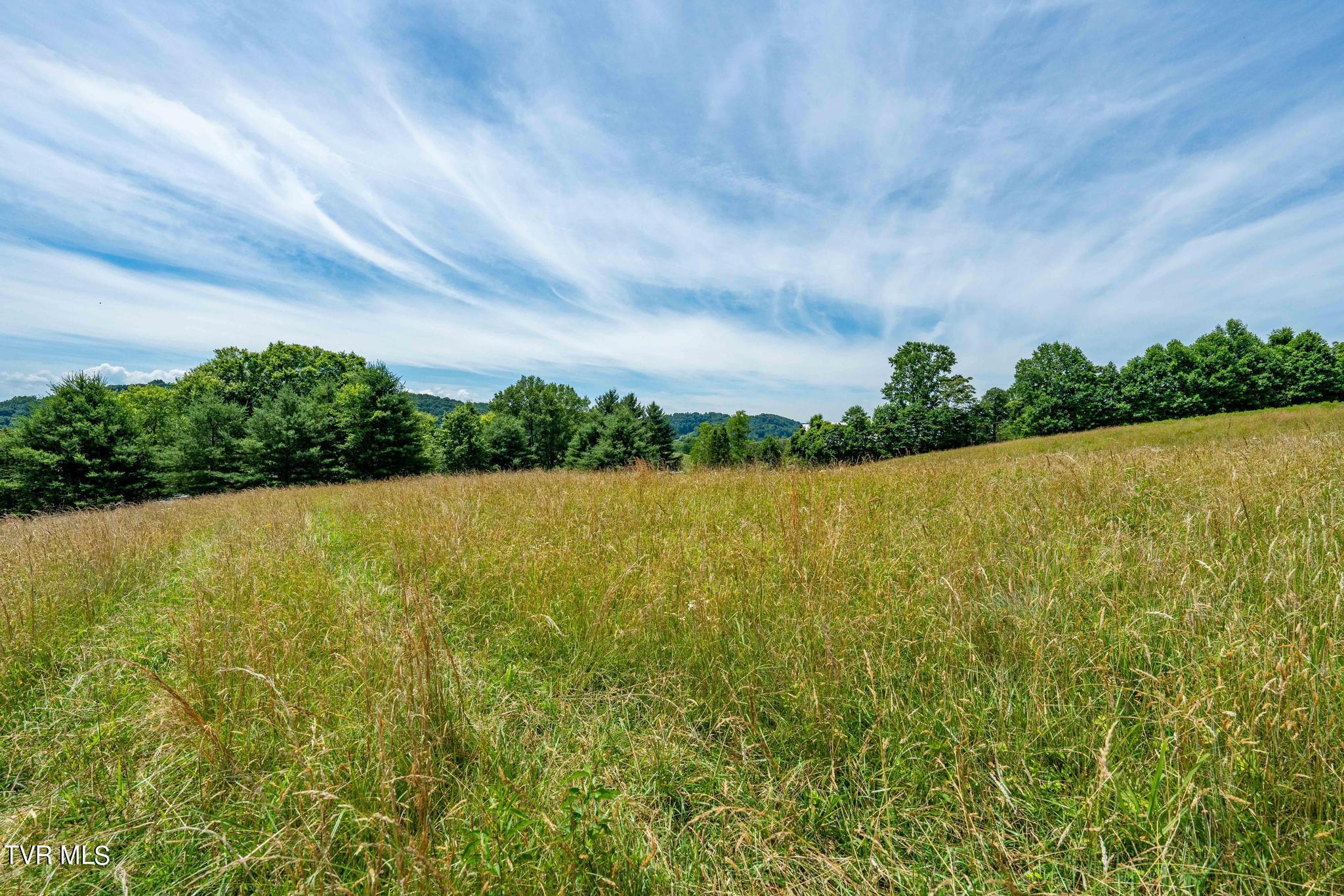 0 Eaton Station Road, Unit 1 Kingsport, TN 37664 - Photo 36 of 37 TBD Eaton Station Rd (36 of 37)