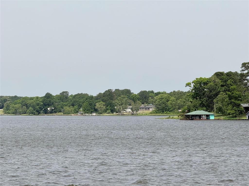 7729 Cutter Drive Frankston, TX 75763 - Photo 11 of 32 a view of a field with trees in it