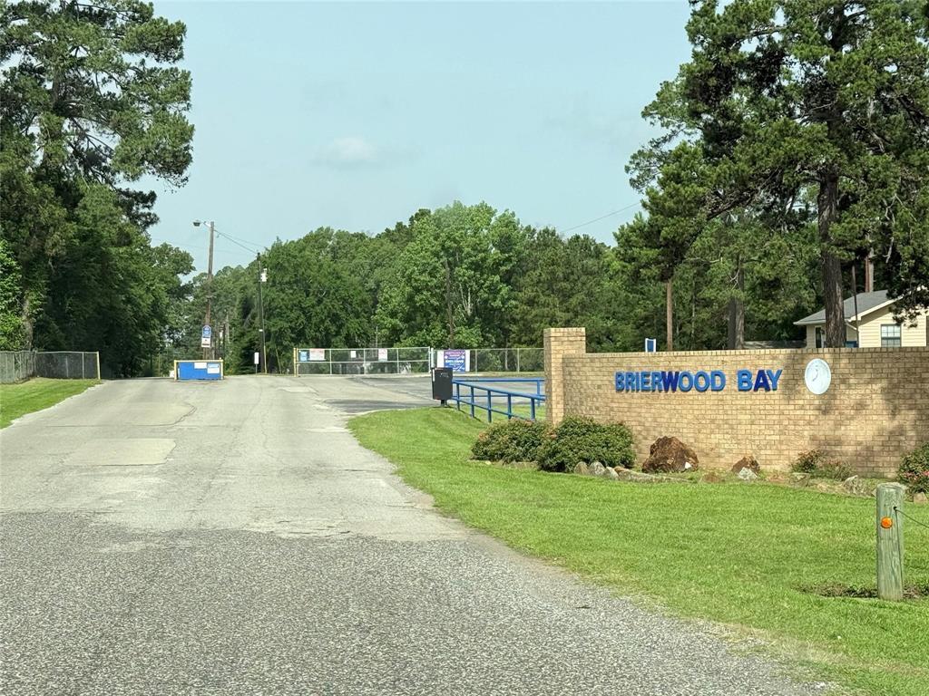 7729 Cutter Drive Frankston, TX 75763 - Photo 10 of 32 a view of yard with green space