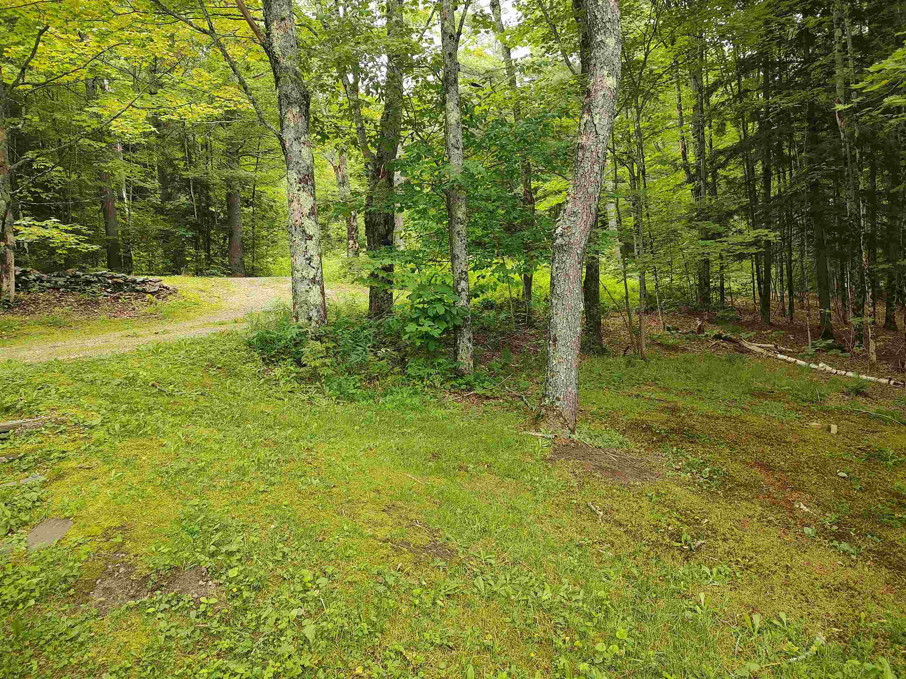 801 Harlow Hill Road Randolph, VT 05060 - Photo 18 of 20