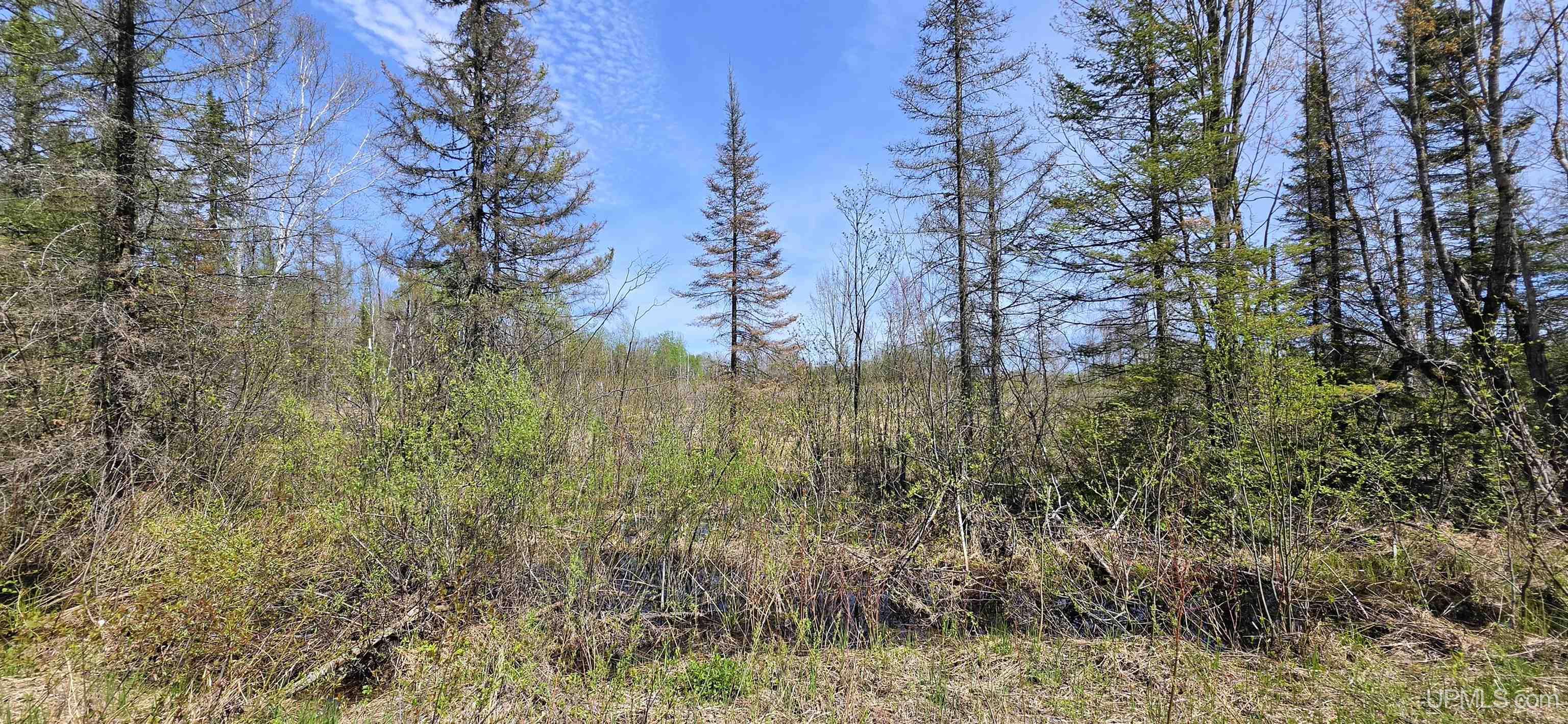 Tbd North Rock 38th Road Rock, MI 49880 - Photo 14 of 15