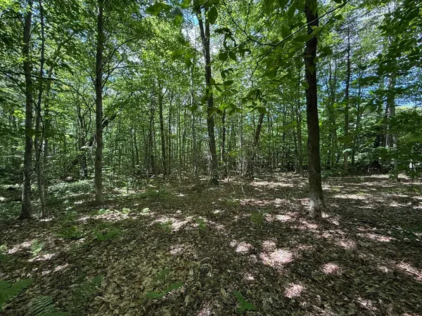 $235,000 | 0 Forest Heights Road, West Dover, VT 05356