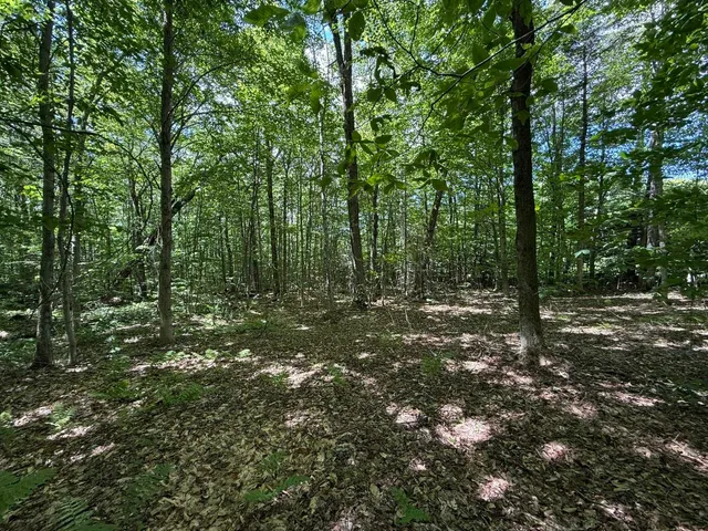 $275,000 | 0 Forest Heights Road, West Dover, VT 05356