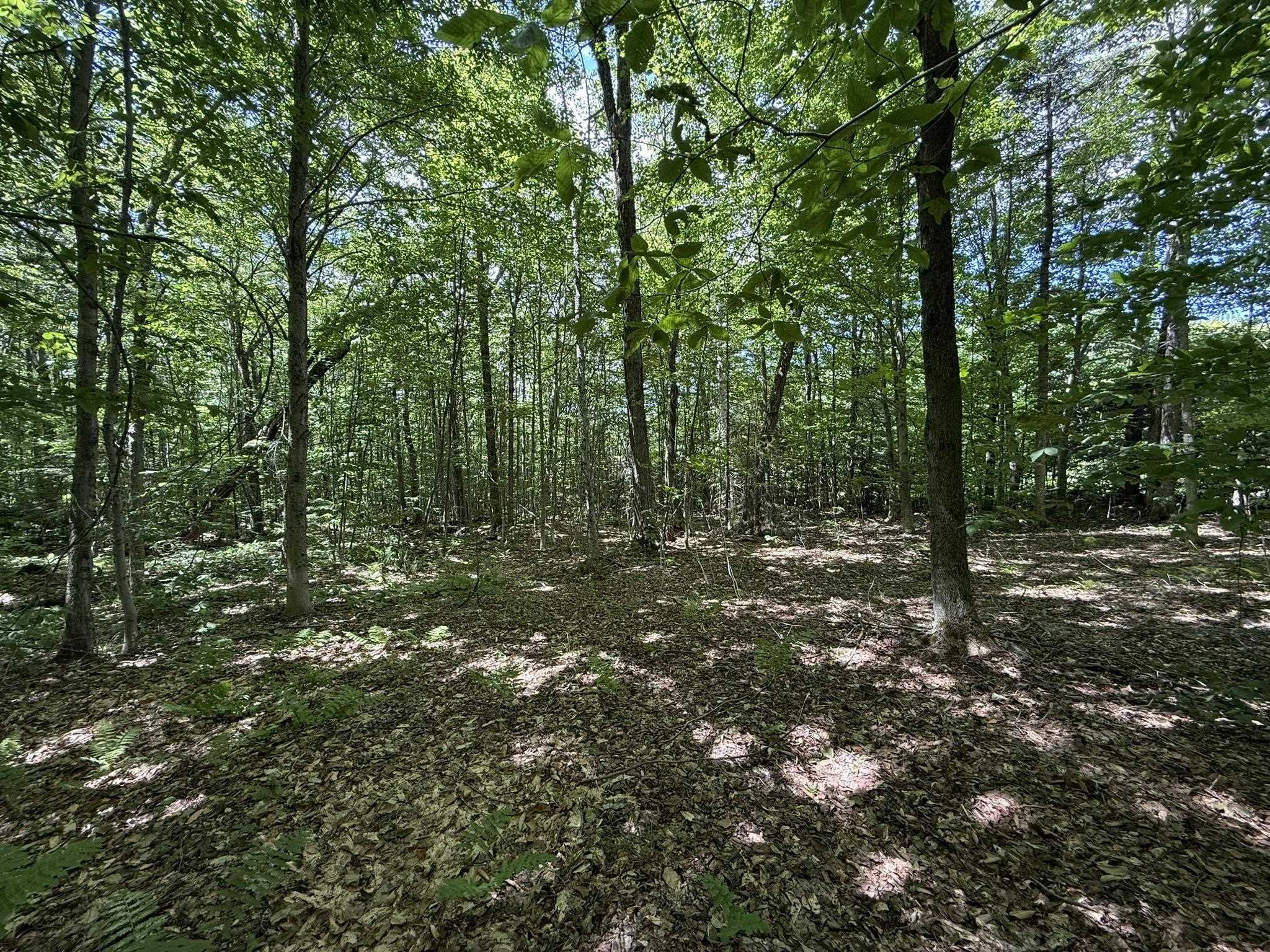 0 Forest Heights Road West Dover, VT 05356 - Photo 11 of 12