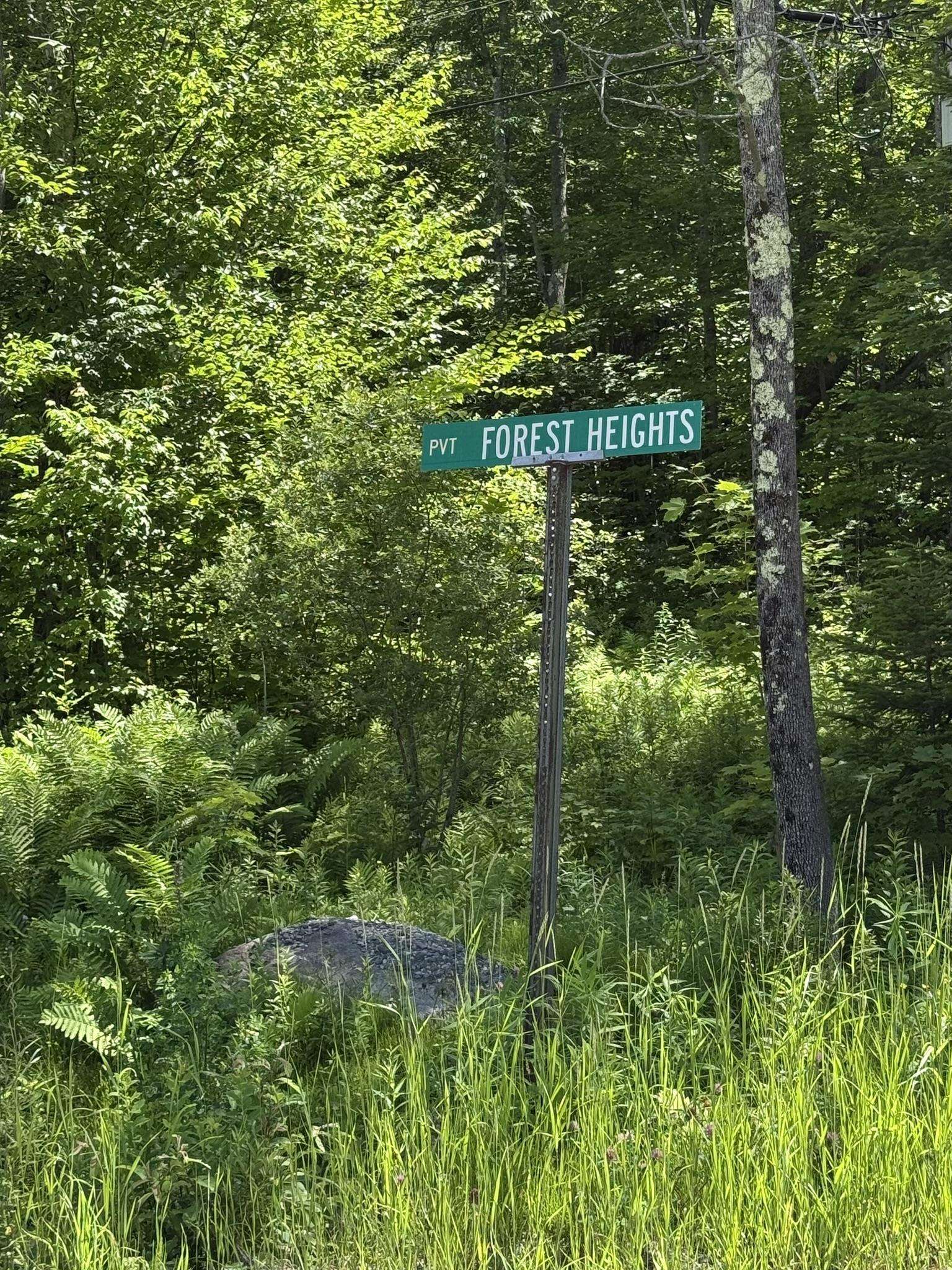 0 Forest Heights Road West Dover, VT 05356 - Photo 12 of 12