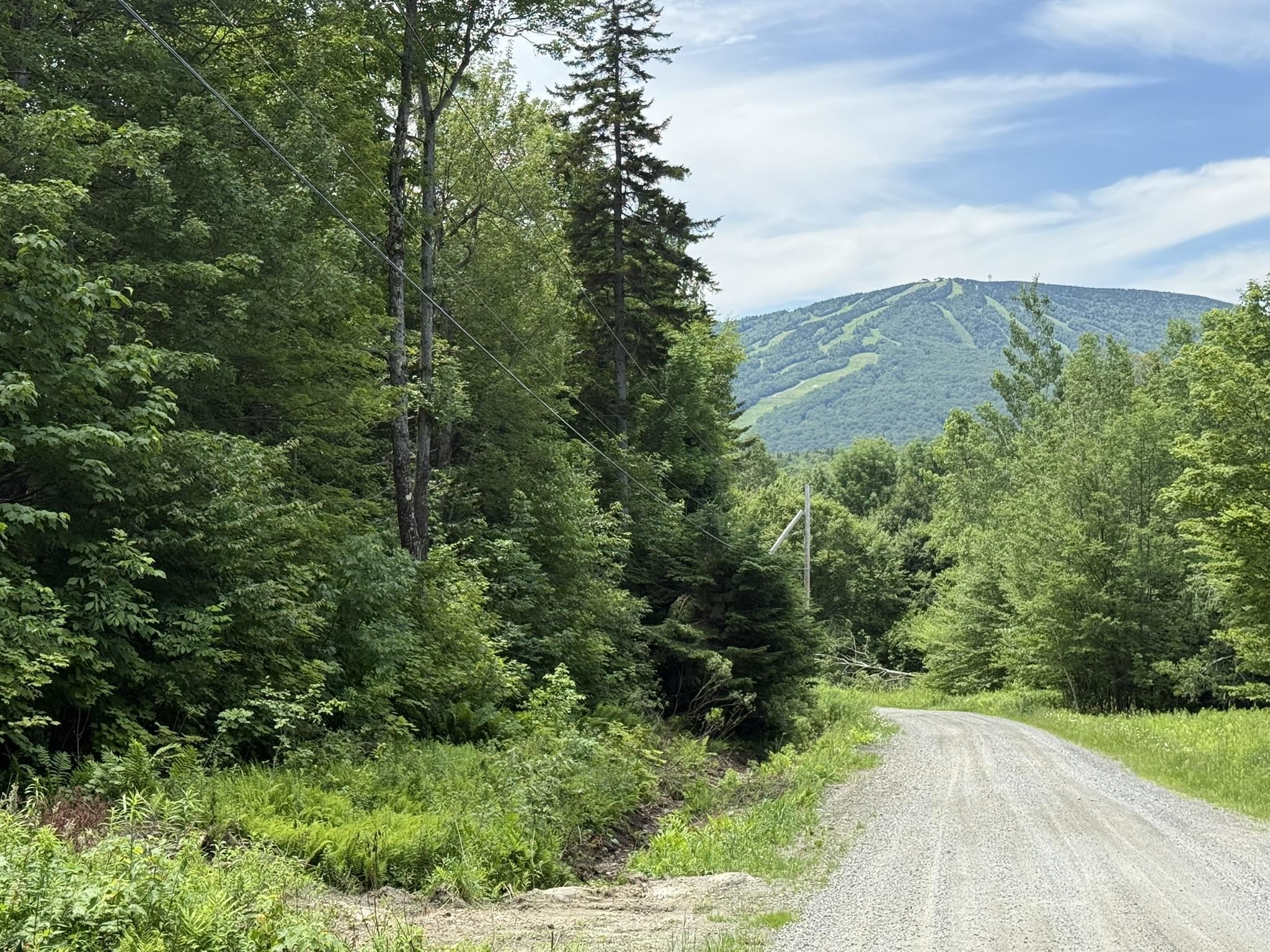 0 Forest Heights Road West Dover, VT 05356 - Photo 3 of 12