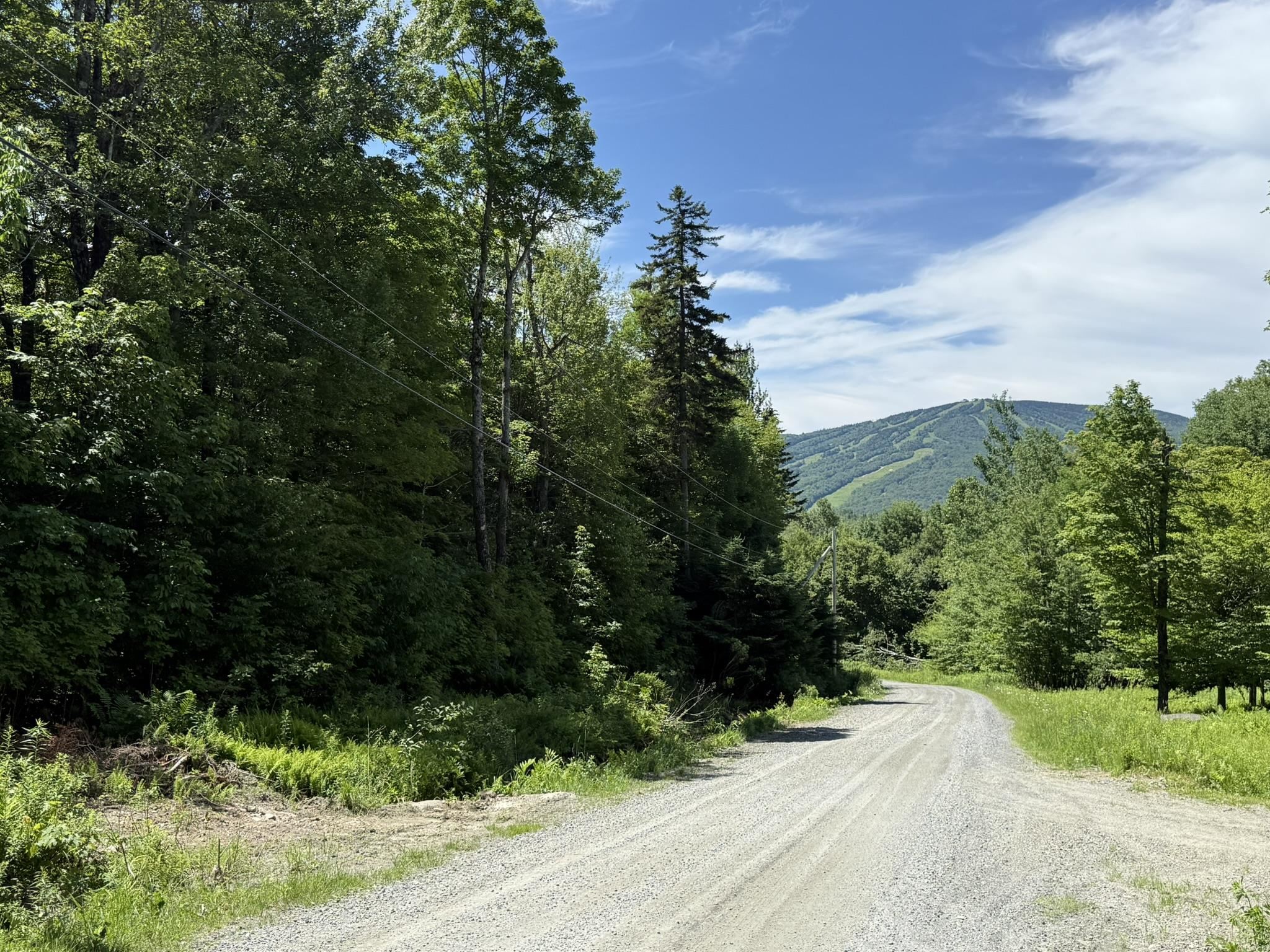 0 Forest Heights Road West Dover, VT 05356 - Photo 4 of 12