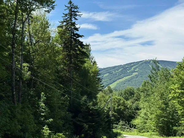 $235,000 | 0 Forest Heights Road, West Dover, VT 05356