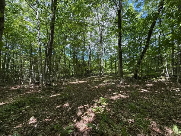 $235,000 | 0 Forest Heights Road, West Dover, VT 05356