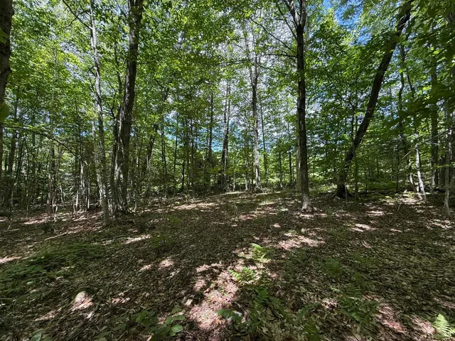 $275,000 | 0 Forest Heights Road, West Dover, VT 05356