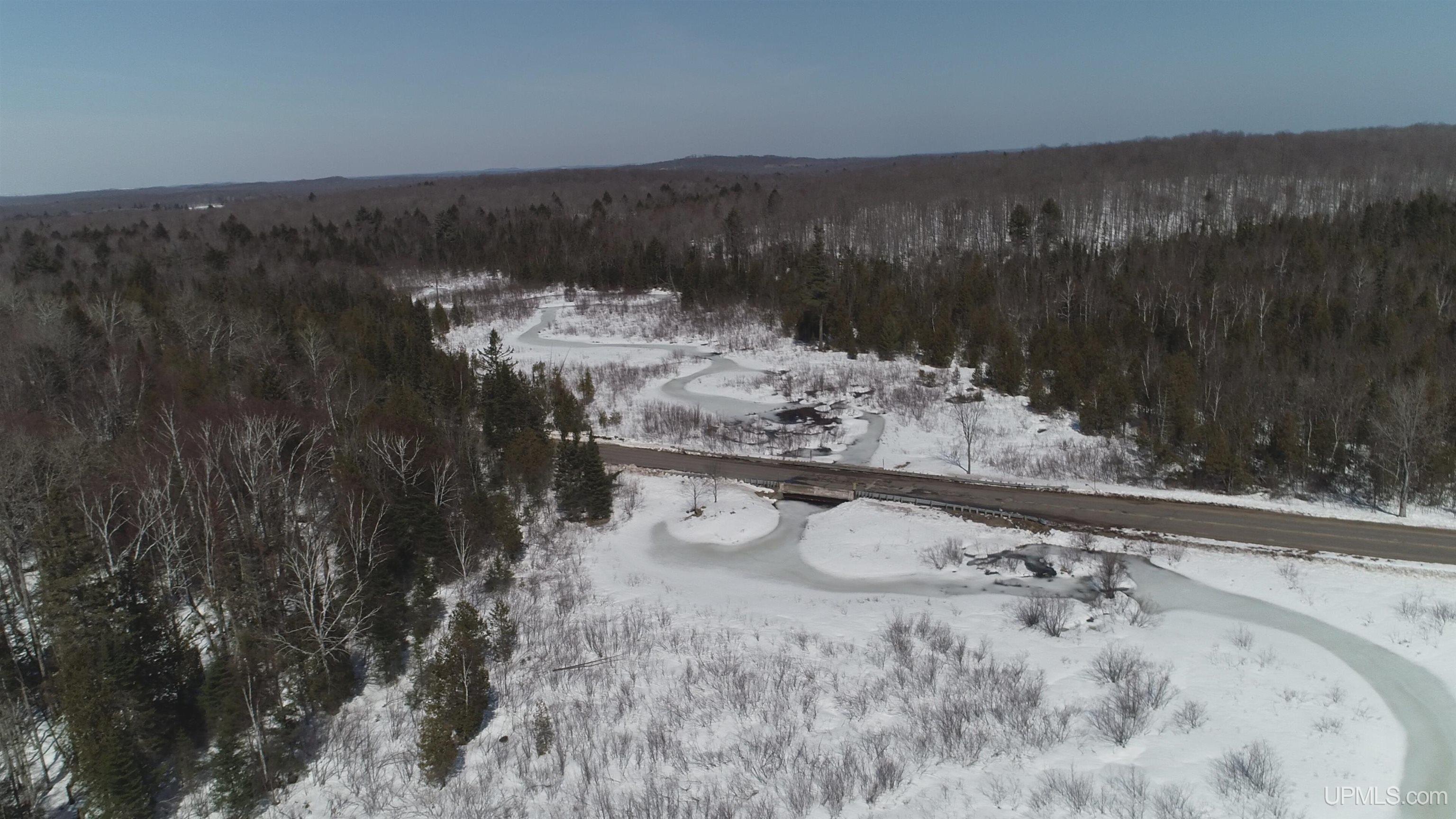 40-acres Little Lake Road Gwinn, MI 49841 - Photo 6 of 25
