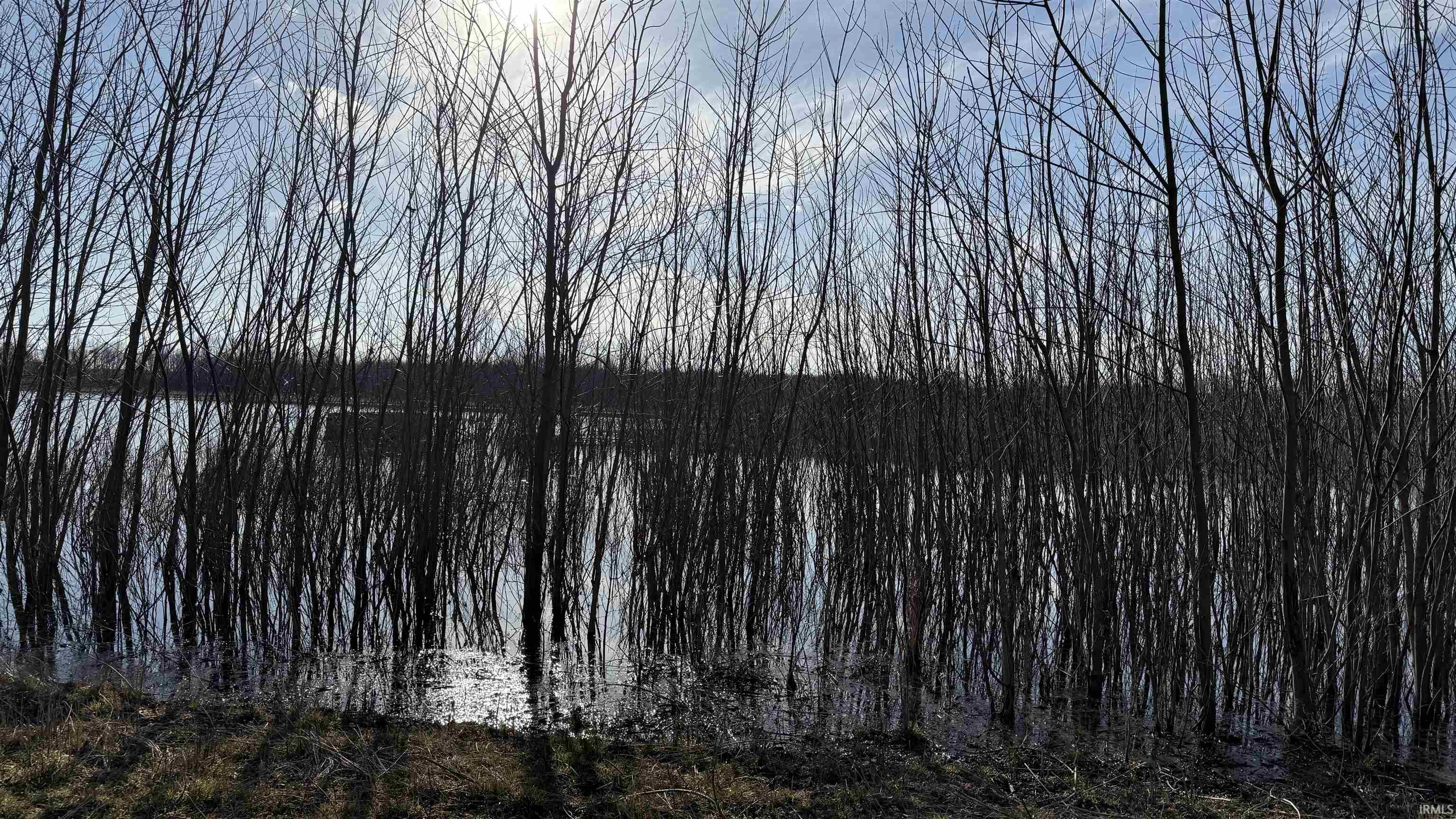 1000 W Lyons, IN 47443 - Photo 9 of 10