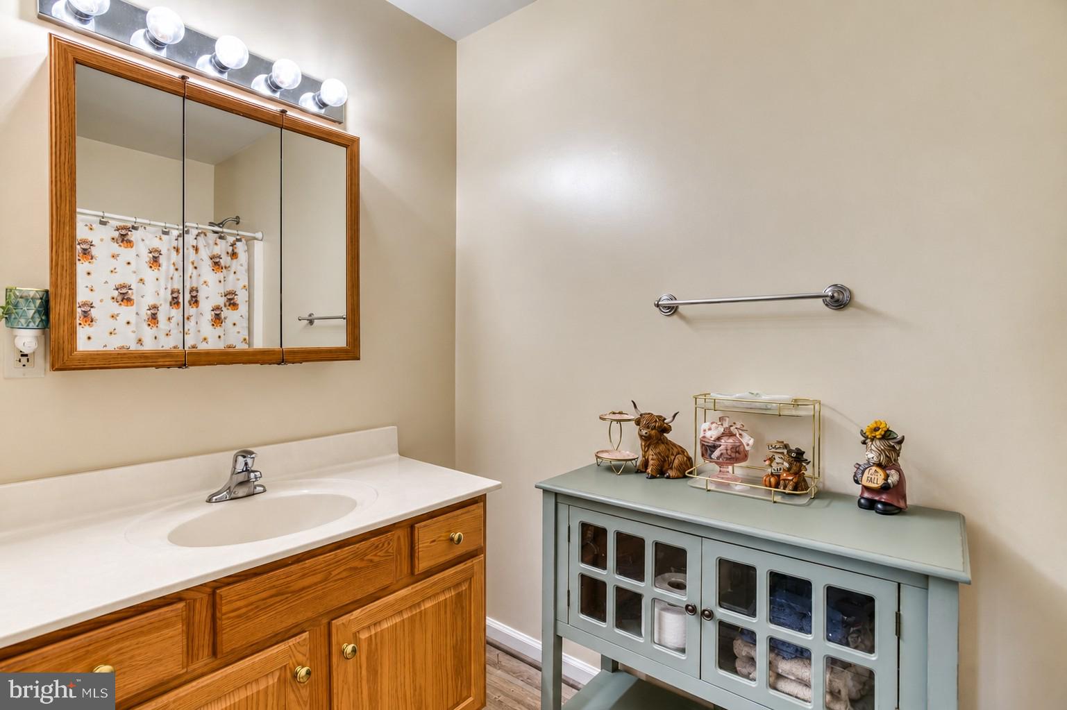 11165 Drogheda Mountain Road Rixeyville, VA 22737 - Photo 18 of 74 Gallery Image 18